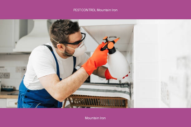 PEST CONTROL Mountain Iron